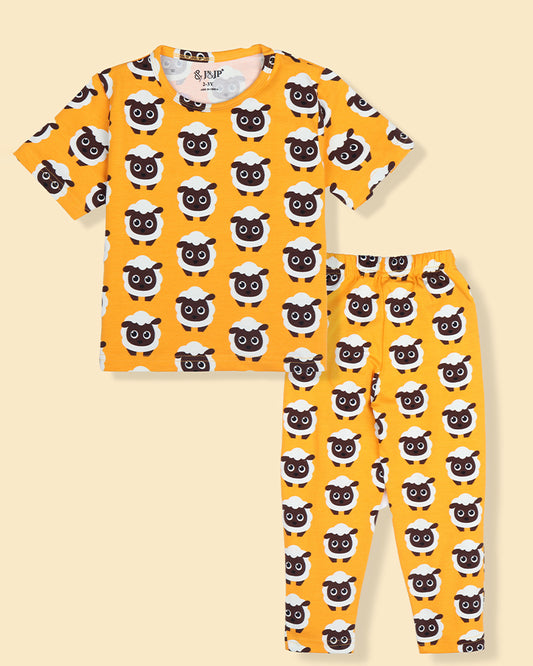 Kids Printed Half Sleeve Multi colour t-Shirt and Pant set
