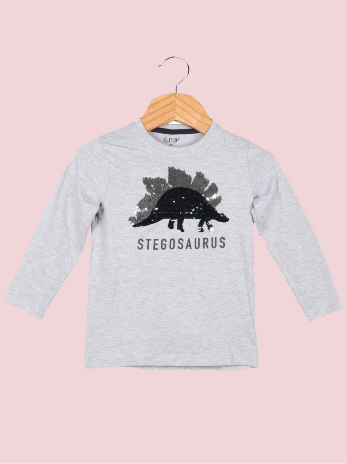 Kids Grey Full sleeve Embroidered, Self Design Melange Jersey T-Shirt